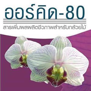 Orchid80